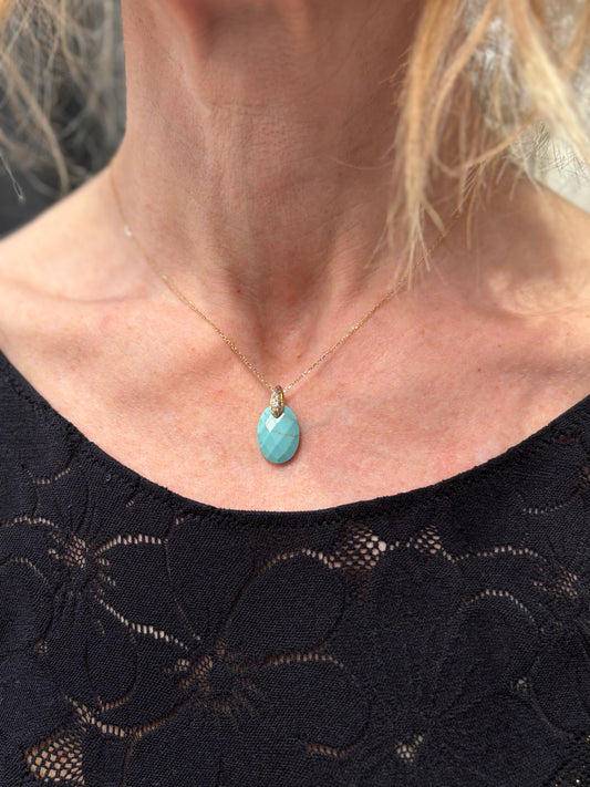 Collier de protection (disponible en plusieurs couleurs)